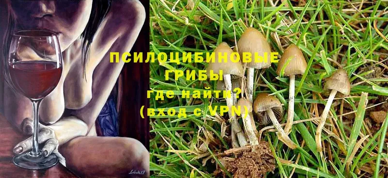 купить   Лабинск  ОМГ ОМГ зеркало  Псилоцибиновые грибы Cubensis 